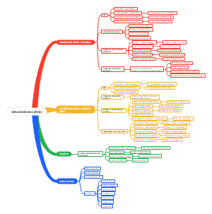 National Assembly Organizational Structure: An Overview