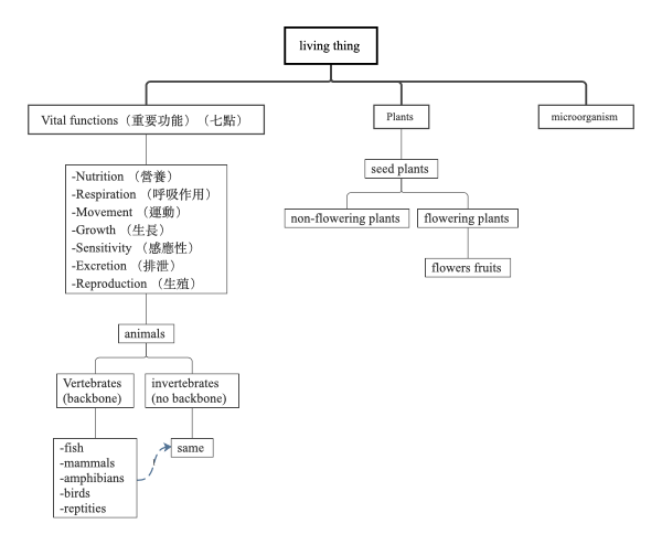 生物の分類と重要機能の概要