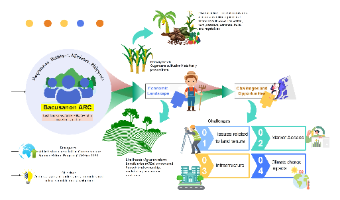 Synthesis Map for Bacusanon ARC