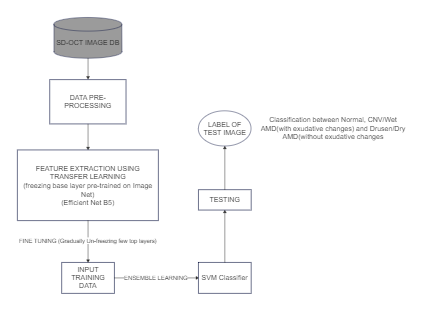 Medical Image Classification Flowchart