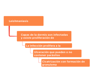 Skin Leishmaniasis Overview