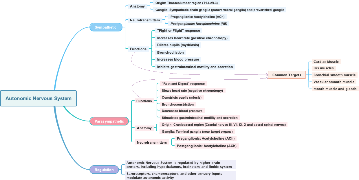 Autonomic Nervous System