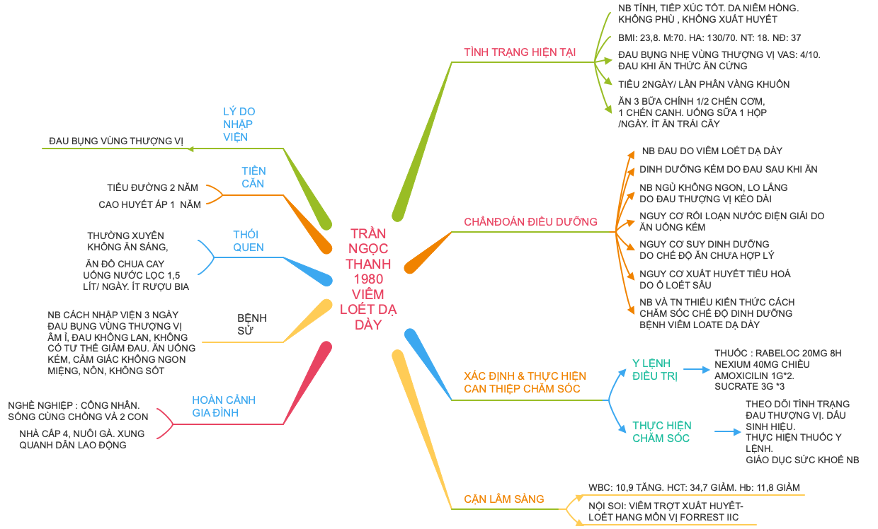 TRAN NGOC THANH 1980 Gastric Ulcer Mind Map