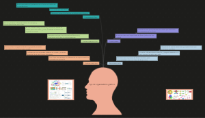 Tipo de organizadores gráficos 