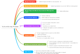 Culture Survey Process