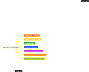 Weishu Sales Booster Mind Map