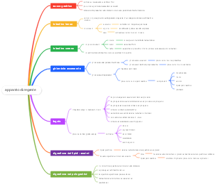 Apparato Diregente: Struttura e Funzioni dei Componenti