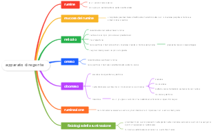 Apparato Diregente: Struttura e Fisiologia del Rumine e della Ruminazione