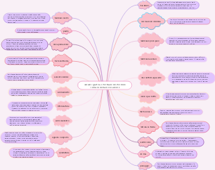 Analisi grafica e testuale dei termini comuni della decorazione