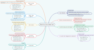 Ricette anime alimentari