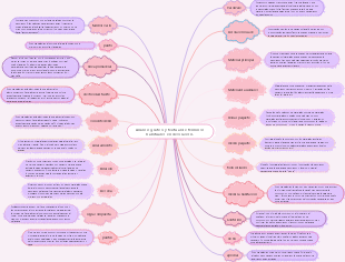 Análisis gráfico y textual de términos habituales en decoración.