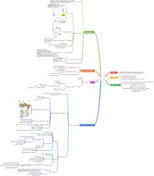 Mapa Mental De La Fotosíntesis De Fisiología Vegetal