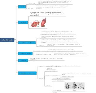 colecistitis aguda