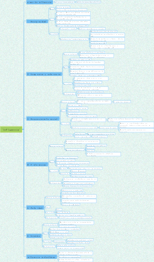 Mapa mental de influencia
