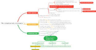 Plan de implementación de la empresa, planificación de proyectos, configuración de la estructura empresarial de la empresa, descripción general de las oportunidades de la empresa.