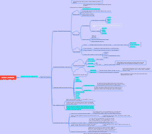 Descripción general del Capítulo 1 de la práctica contable elemental