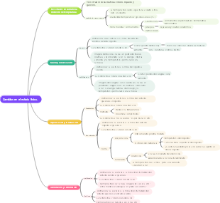 Cambios en el estado físico.