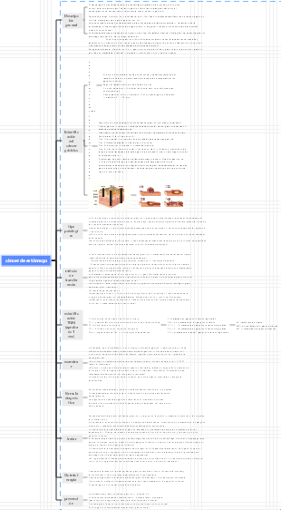 Mapa mental del examen del médico en ejercicio → Cáncer de estómago