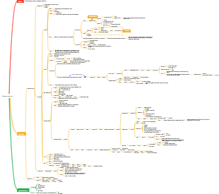 Sistema endocrino