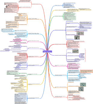 Mapa mental de notas de lectura Let Love Come Home