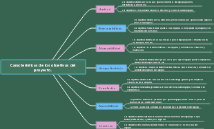 Características de los objetivos del proyecto.