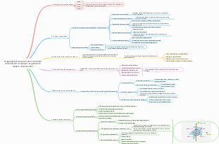 Programa de formación sobre el método de formación de equipos de gestión de equipos empresariales