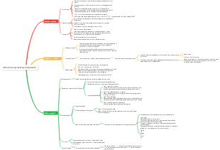 método de aprendizaje minimalista