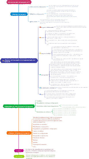 Informe resumido del proyecto de TI