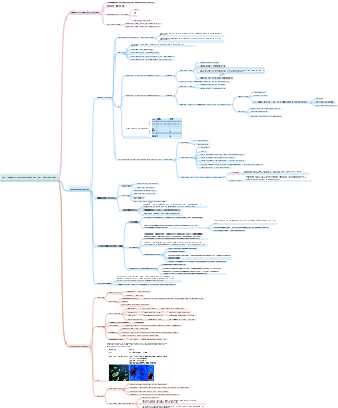La forma y estructura de las bacterias.