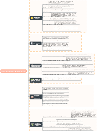 Top-Arbeits- und Ruheplan der Schüler