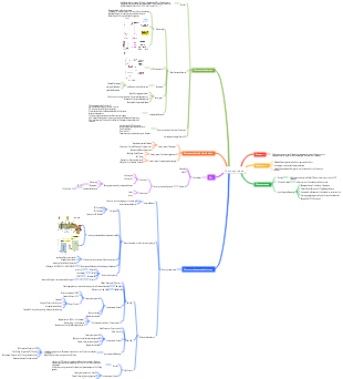 Pflanzenphysiologie-Photosynthese-Mindmap