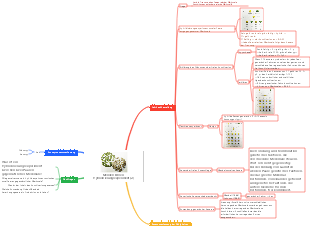 Mendels Erbsen-Hybridisierungsexperiment (2)