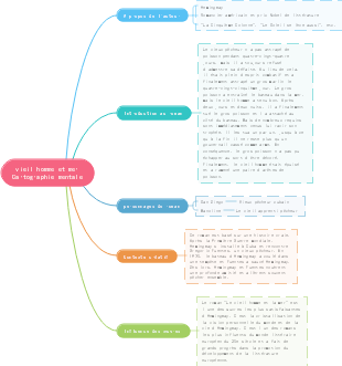Carte mentale Le vieil homme et la mer