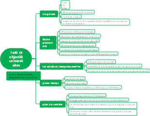 Brainstorming sur les objectifs universitaires de Little M !