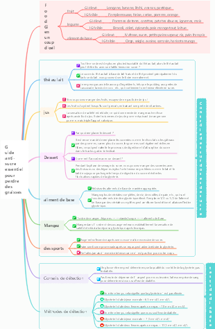 Guide anti-sucre essentiel pour perdre des graisses