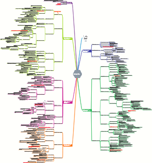 Notes de lecture « Méthode d'apprentissage minimaliste »
