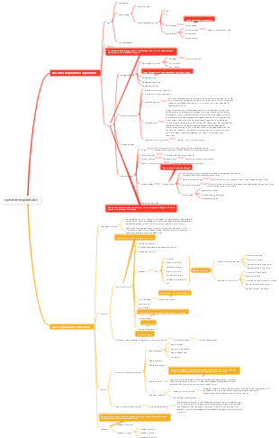 système respiratoire