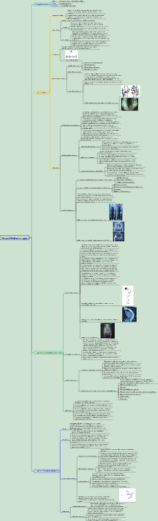 Chirurgie 070 Arthrite non septique