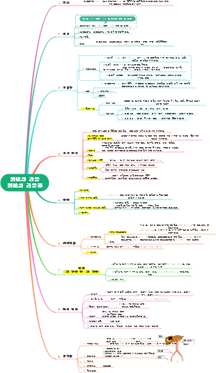 내과 소화기계-원발성 간암