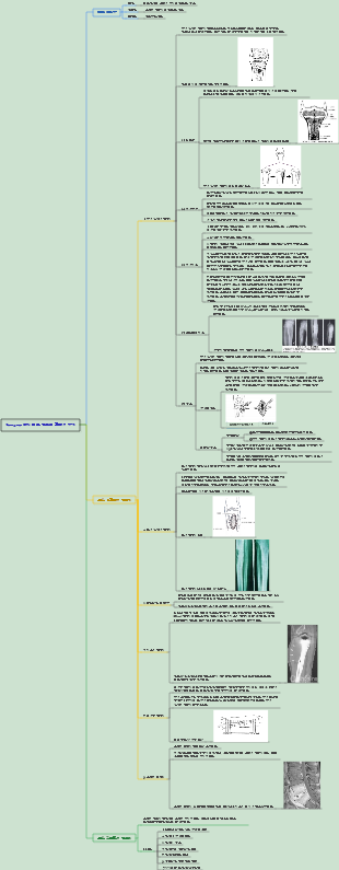 Surgery 058 뼈와 관절의 화농성 감염