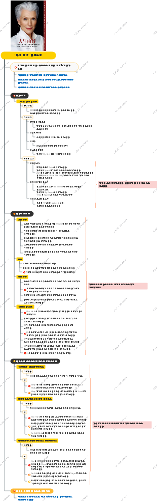나의 인생 마인드맵