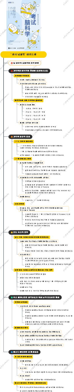 검사 뇌과학 마인드맵