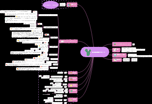 西双版納旅行ガイド