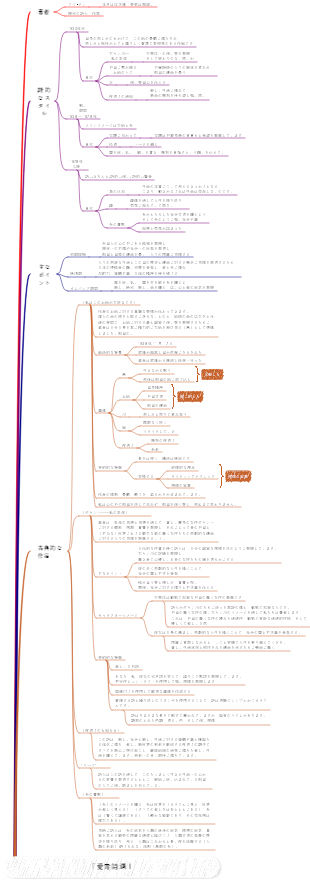 『艾青詩集』マインドマップ