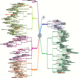 『ミニマリスト学習法』読書メモ