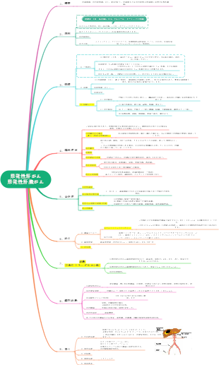内科・消化器系・原発性肝がん