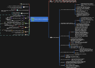 Guia de viagem de Xishuangbanna