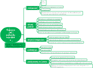 Brainstorming do objetivo da faculdade do Little M!