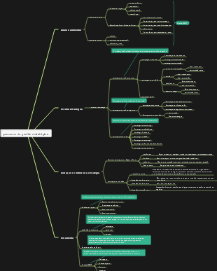 Processo de implementação de gestão estratégica