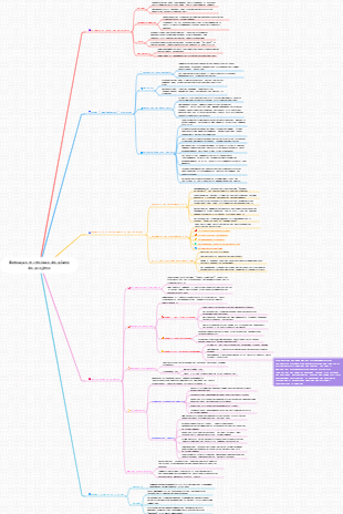 Execução e revisão do plano do projeto